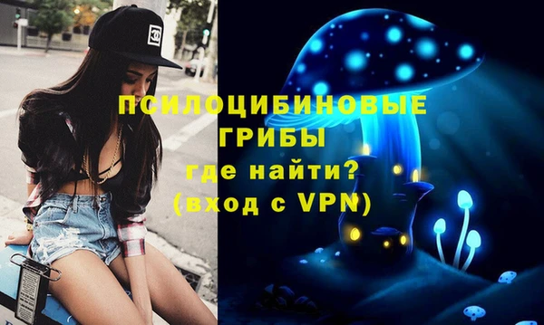 трава Арсеньев