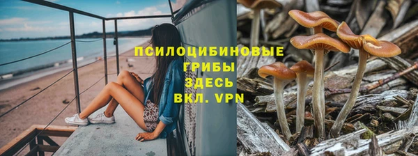 стафф Алексеевка