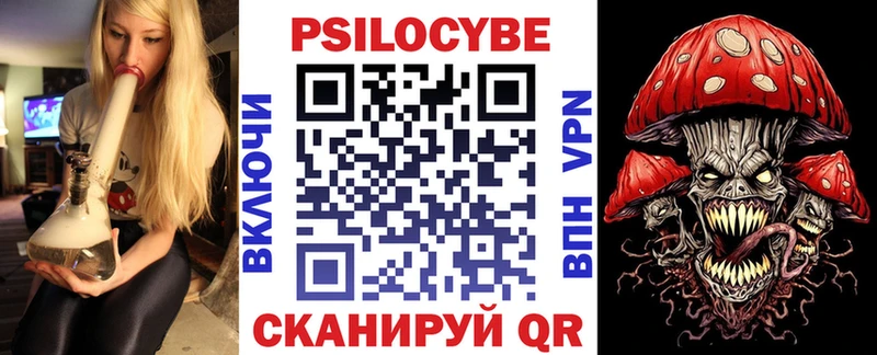kraken tor  хочу   Лахденпохья  Псилоцибиновые грибы Psilocybine cubensis 